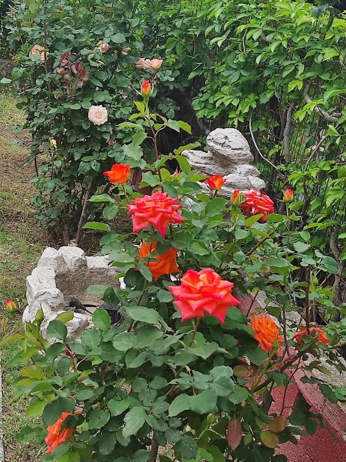 Petra House别墅 外观 照片